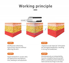 Macchina EMS NEO per Modellamento del Corpo e Snellimento, con Due Maniglie, Design da Scrivania per Uso Domestico