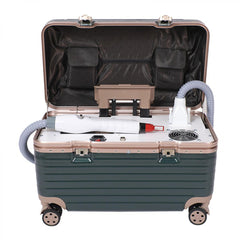 LASER FacialPure 4.0, Macchina Portatile Picosecondi Non Invasiva Con Trolley Piccolo, Rimozione Tatuaggi E Depilazione Sopracciglia